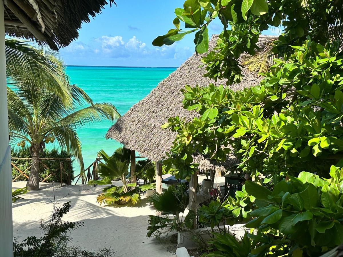 Natural Garden Boutique Hotel Jambiani  Exterior photo