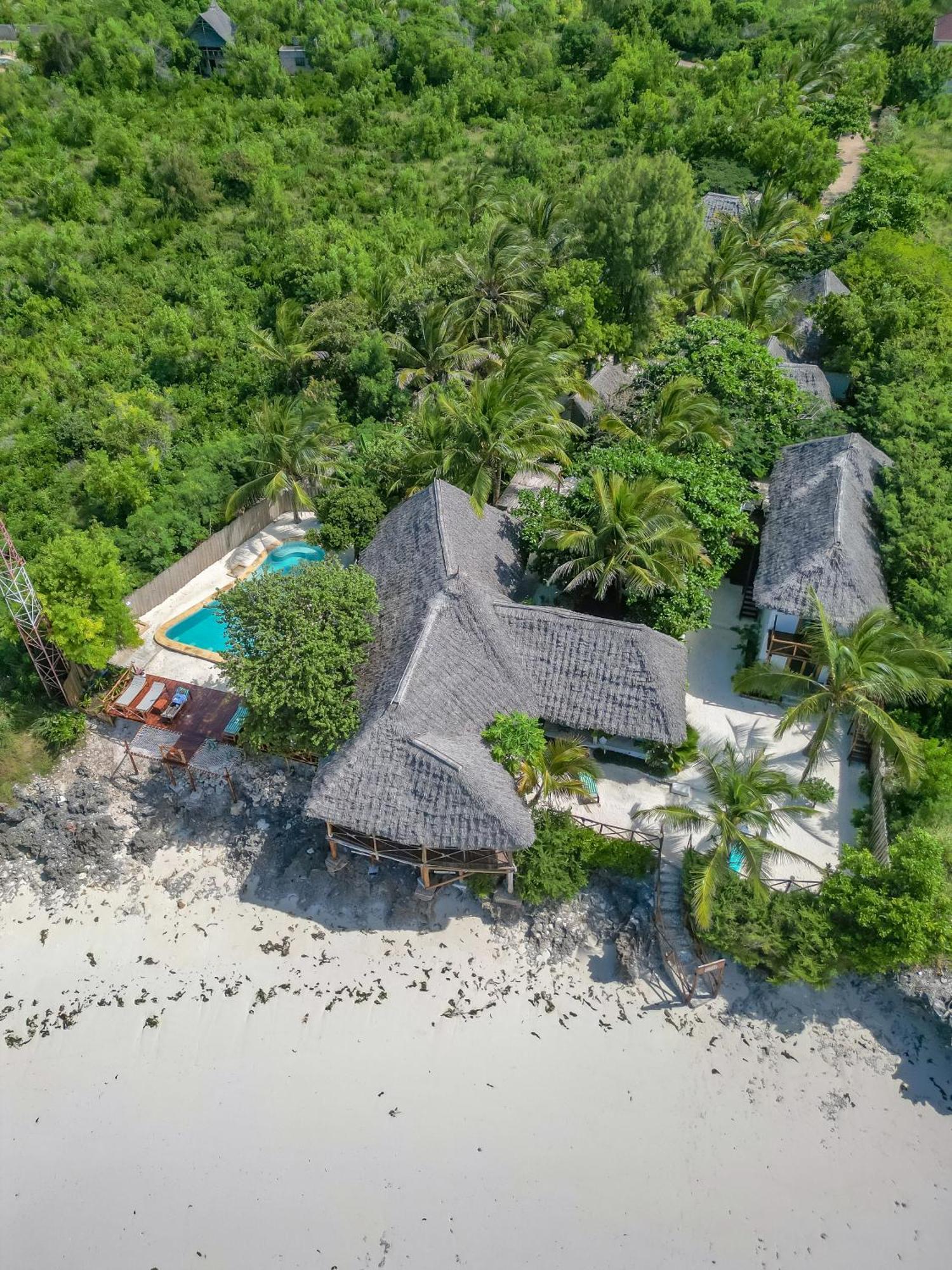 Natural Garden Boutique Hotel Jambiani  Exterior photo