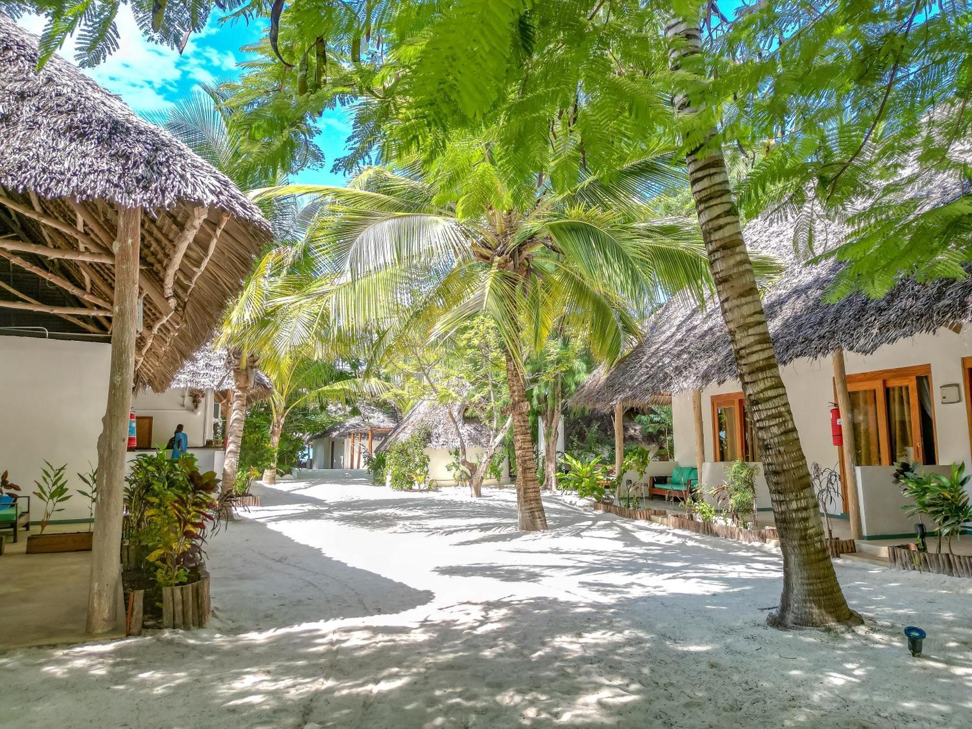 Natural Garden Boutique Hotel Jambiani  Exterior photo